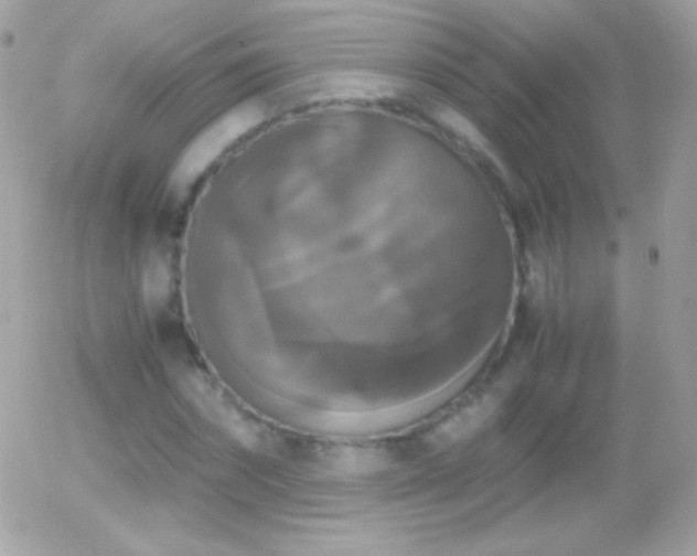 X0000055510874200508151357