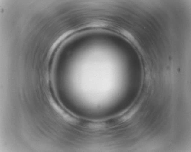 X0000055510939200508151356