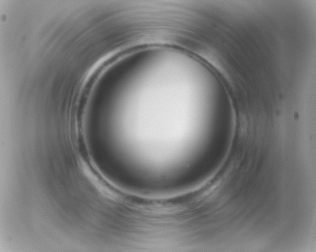 X0000055510980200508151356