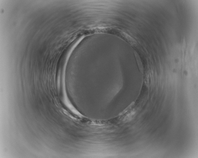 X0000055511010200508151354