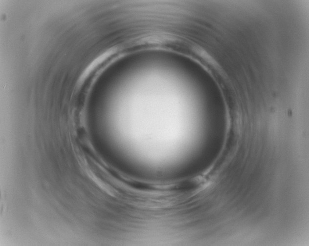 X0000055511026200508151355