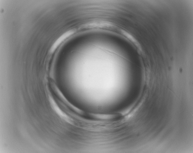 X0000055511042200508151355