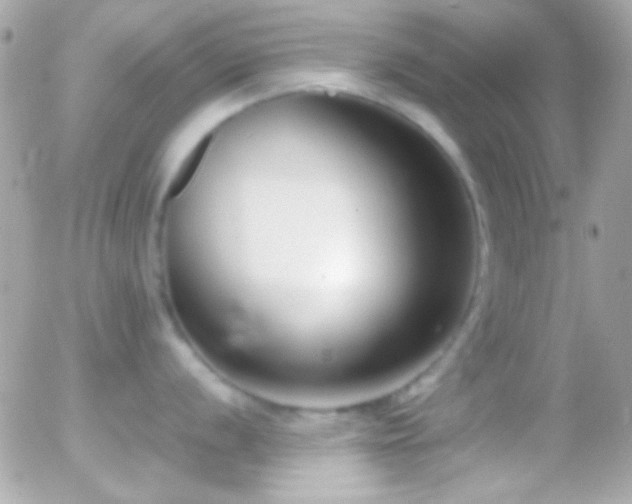 X0000055511056200508151355