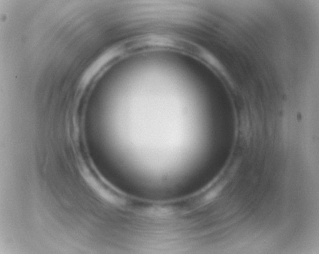 X0000055511082200508151354