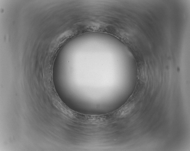 X0000055511105200508151353