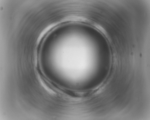 X0000055511128200508151353