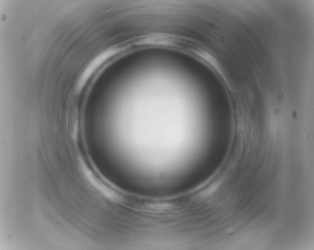 X0000055511131200508151353