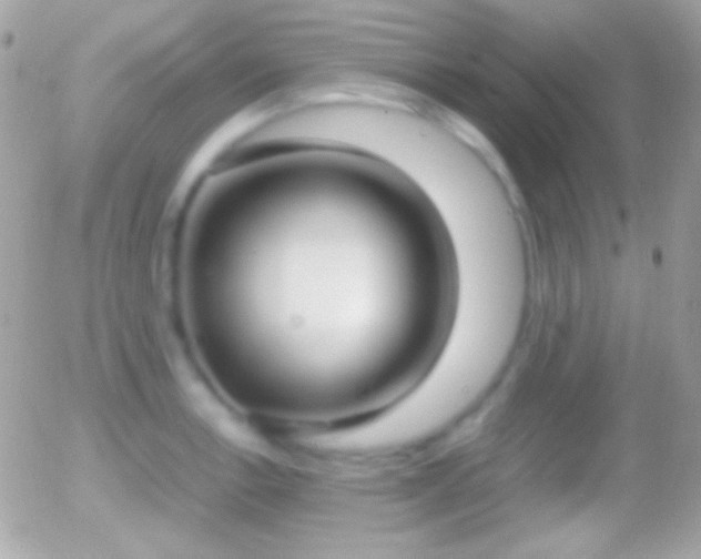 X0000055511138200508151353