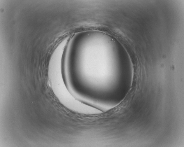 X0000055511157200508151353