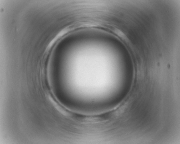 X0000055511181200508151352