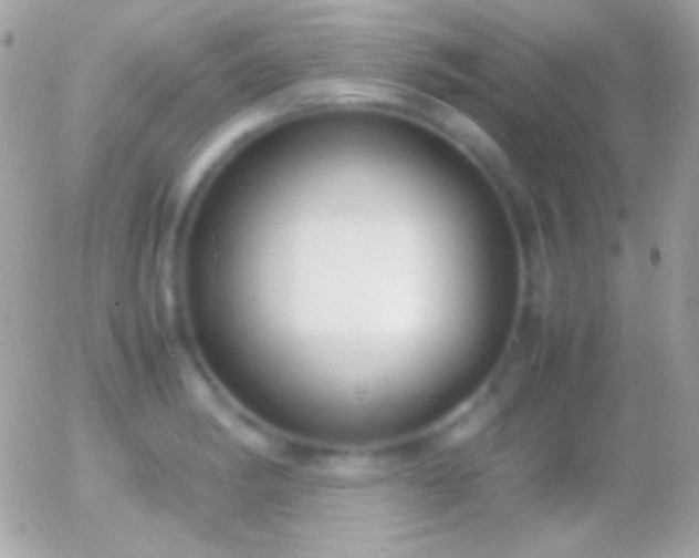 X0000055511182200508151352