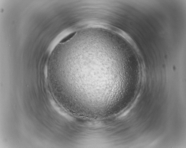 X0000055511198200508151352