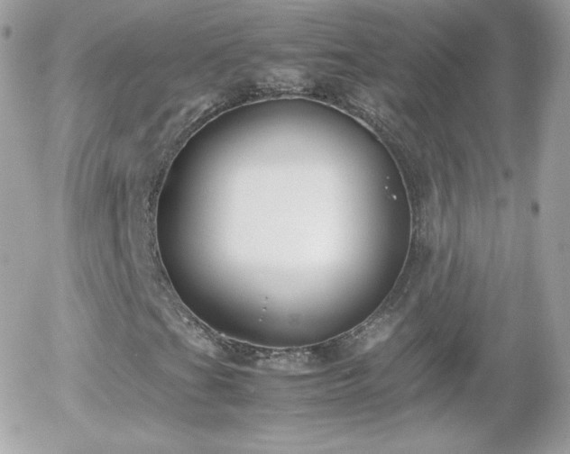 X0000055511201200508151351