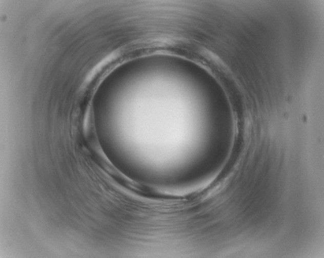 X0000055511210200508151351