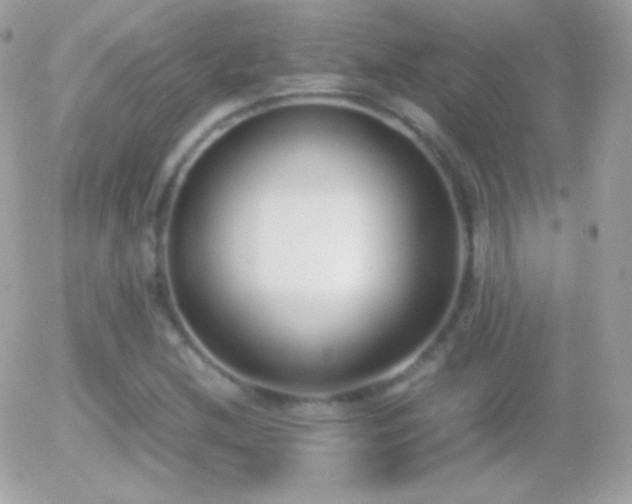X0000055511212200508151351
