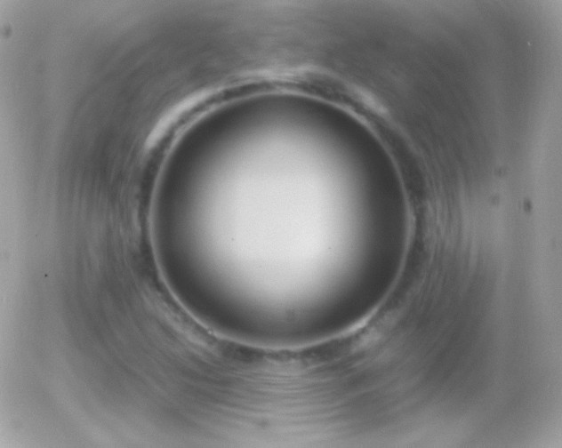 X0000055511214200508151352