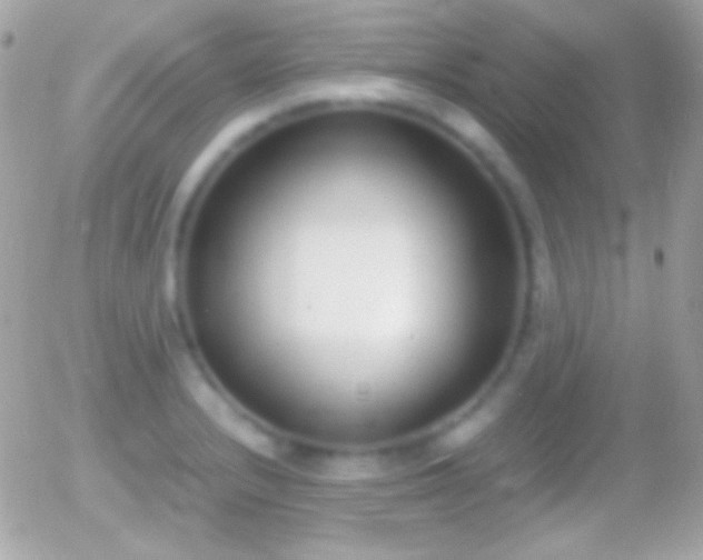 X0000055511232200508151352