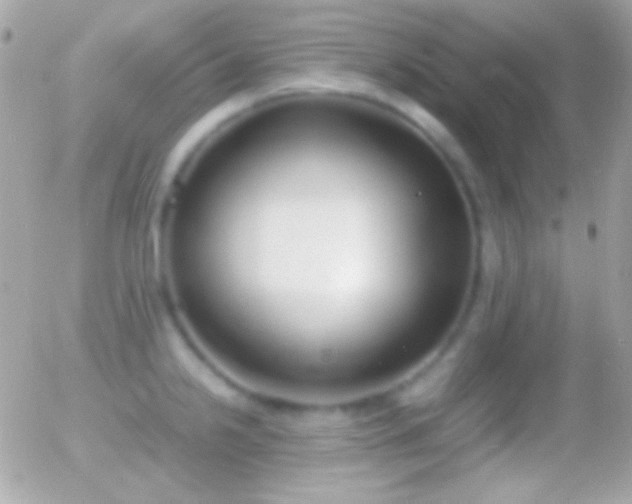 X0000055511238200508151352