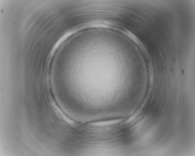 X0000055511240200508151352