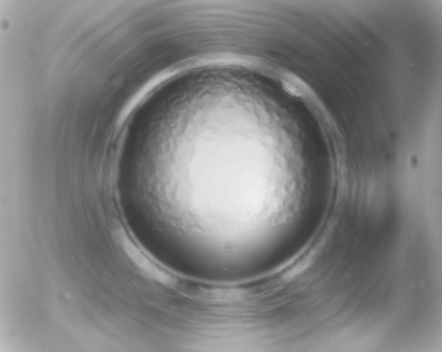 X0000055511244200508151352