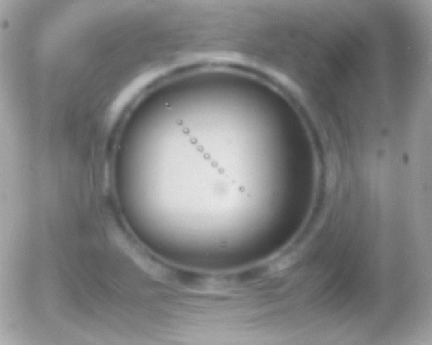 X0000055511271200508151351