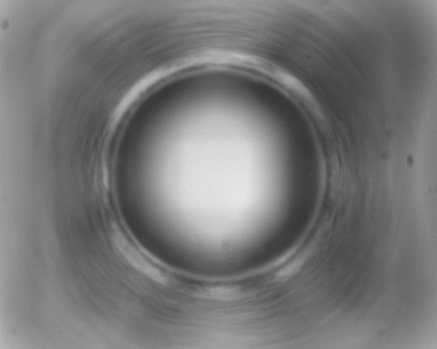 X0000055511280200508151351