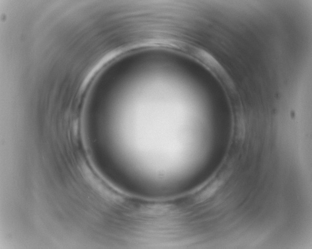 X0000055511284200508151351