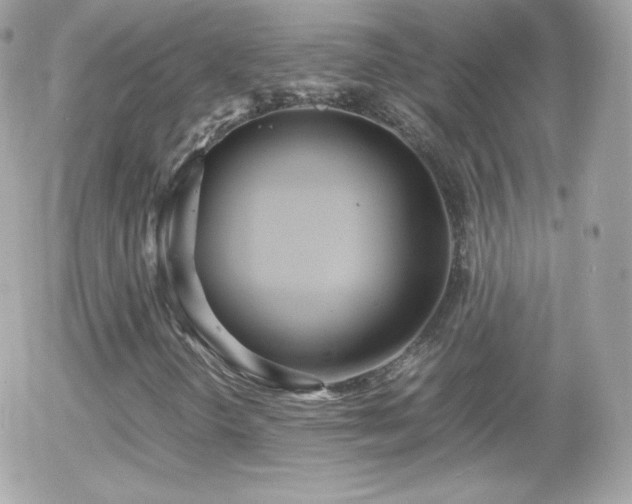 X0000055511298200508151350