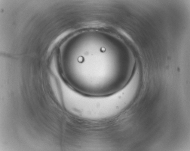 X0000055511315200508151350