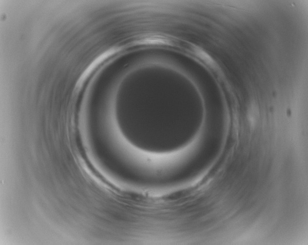 X0000055511331200508151350