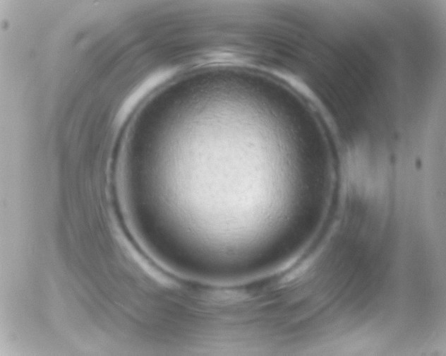X0000055511333200508151350