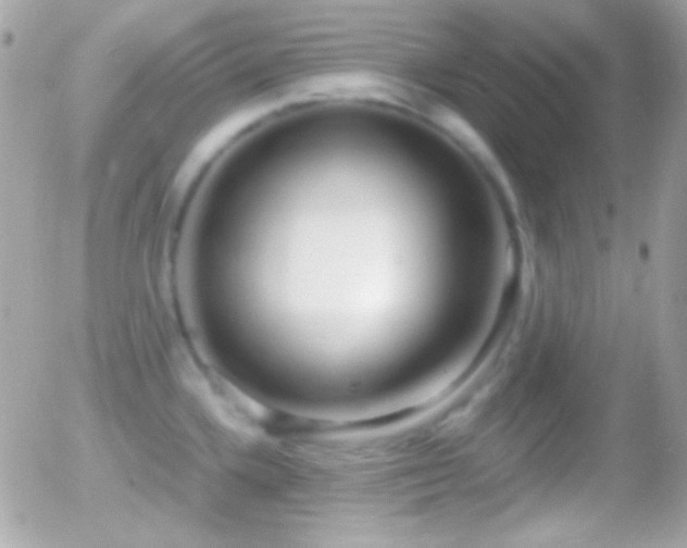 X0000055511336200508151350