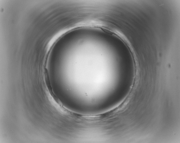 X0000055511344200508151351