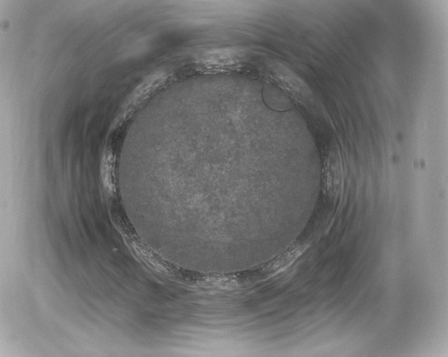 X0000055511346200508151350