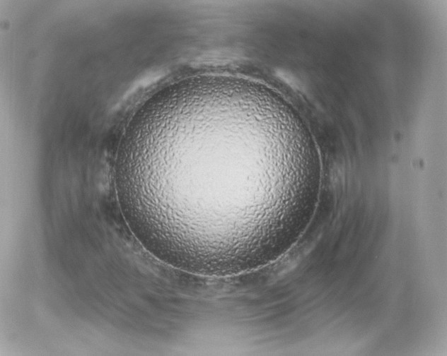 X0000055511350200508151350