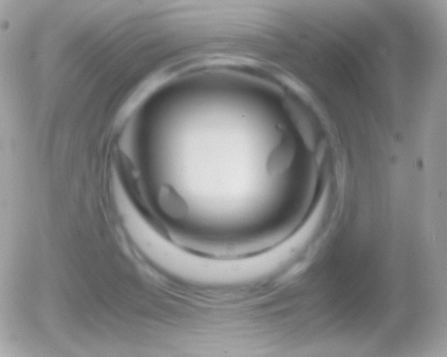 X0000055511369200508151349