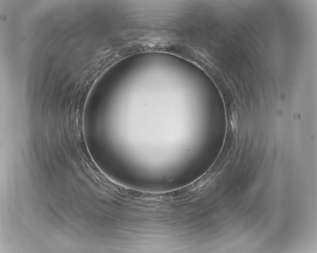 X0000055511396200508151348
