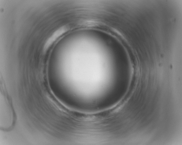 X0000055511410200508151348