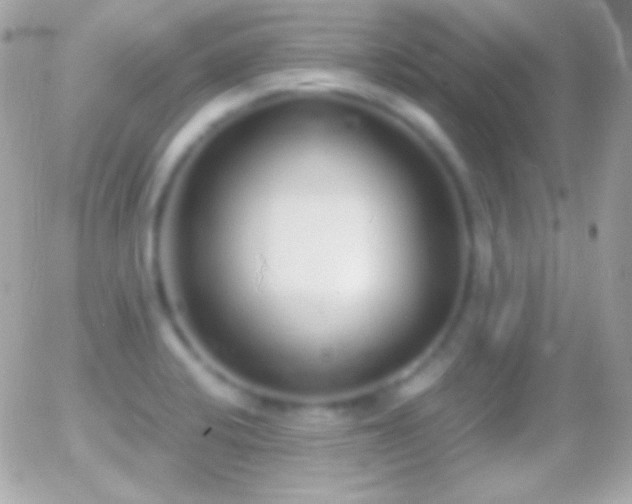 X0000055511424200508151349
