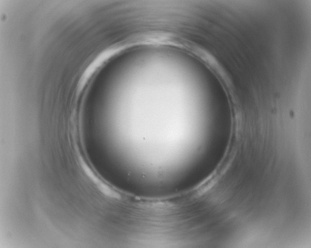 X0000055511432200508151349