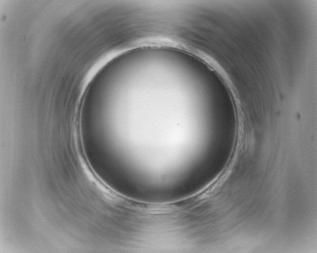 X0000055511440200508151349