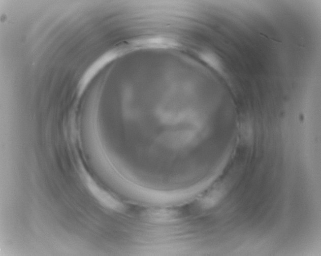 X0000055511474200508151348