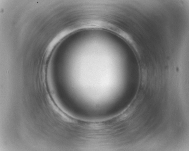 X0000055511480200508151348