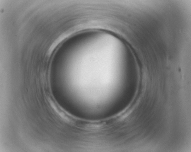 X0000055511513200508151347