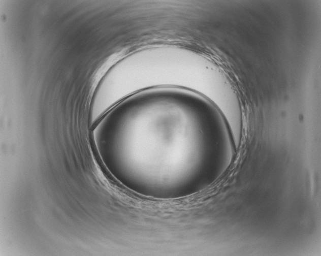 X0000055510003200508191532