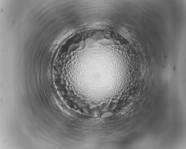 X0000055510050200508191530