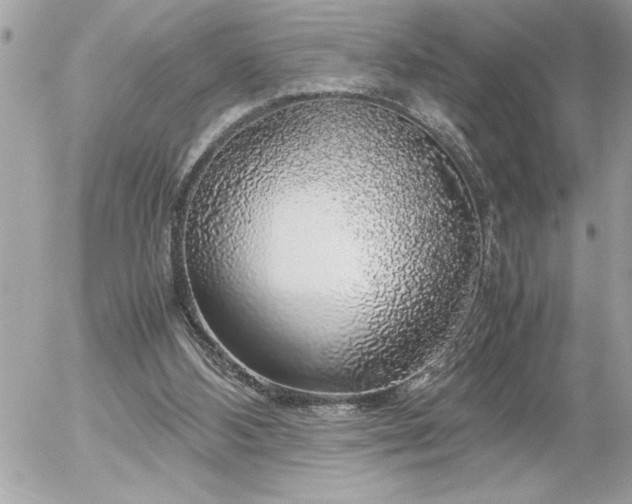 X0000055510108200508191530