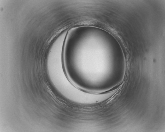 X0000055510154200508191529
