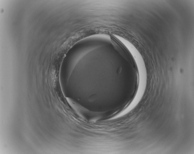 X0000055510223200508191528