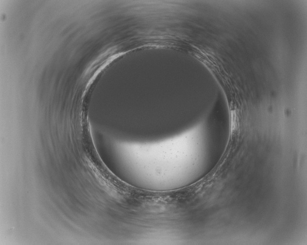 X0000055510243200508191527